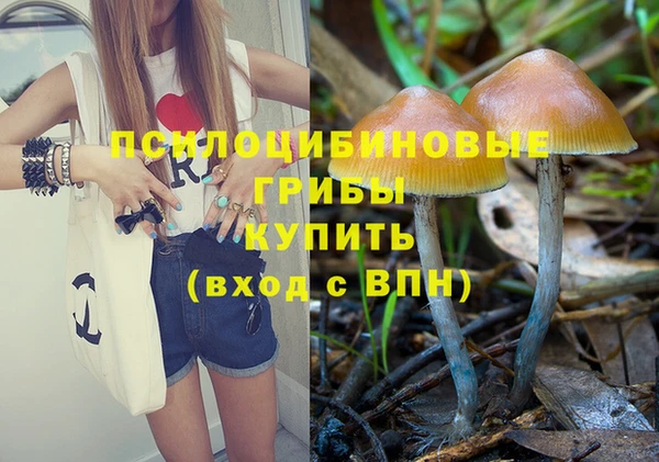 ECSTASY Володарск