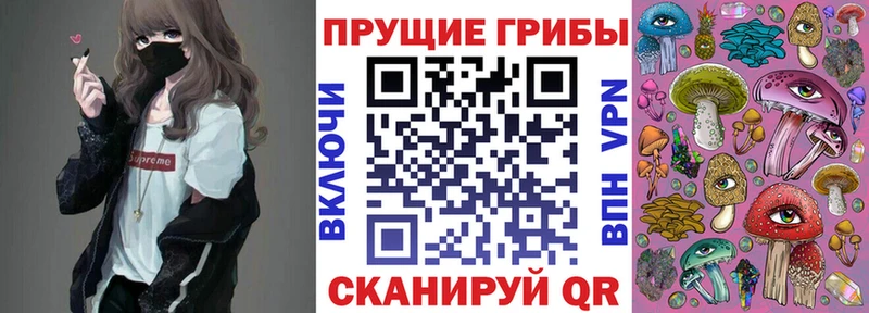 Псилоцибиновые грибы Psilocybe  купить   Александровское 